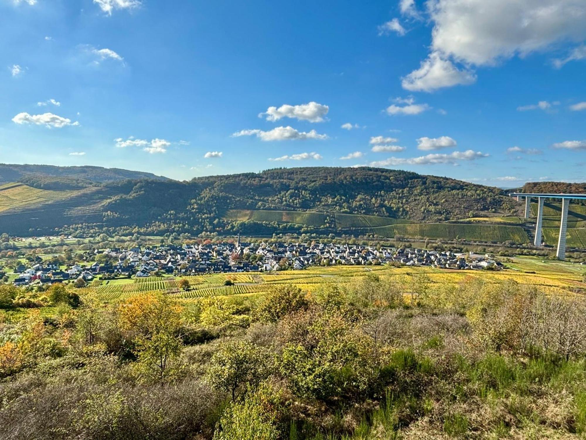 Апартаменти Fewo Klosterblick Sowie Weinberge & Drachenflieger Цельтінґен-Рахтіґ Екстер'єр фото